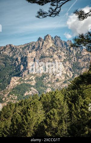 Die Aiguilles de Bavella, Nadelspitzen wie felsige Berggipfel, umgeben von Kiefernwäldern im Zentrum von Korsika Stockfoto