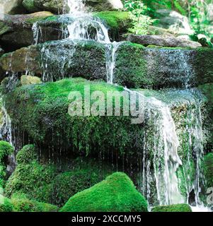 Ein Wasserfall fällt über moosbedeckte Felsen in einer üppigen Waldlandschaft Stockfoto