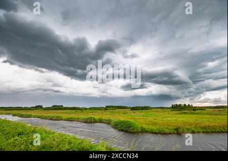 Dunkle Wolken über der grünen, wässrigen niederländischen Polderlandschaft im Grünen Herzen zwischen Amsterdam, Rotterdam, den Haag und Utrecht. Stockfoto