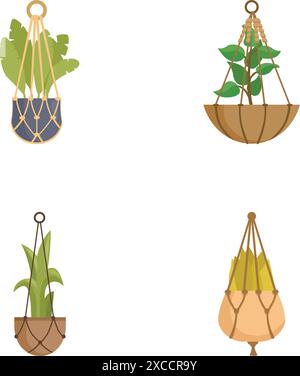 Vier Vektor-Illustrationen von Zimmerpflanzen in stilvollen hängenden Töpfen isoliert auf einem weißen Hintergrund Stock Vektor