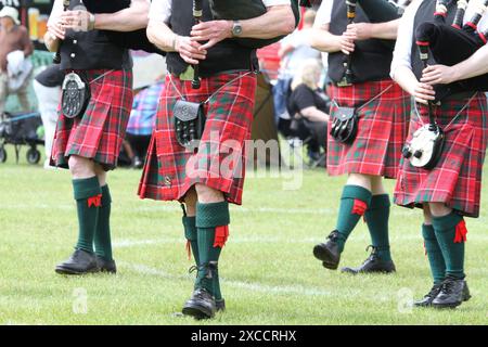 Colchester, Großbritannien. Juni 2024. Pfeifen und Trommeln aus ganz Südengland kommen im Lower Castle Park in Colchester zusammen. Medleys mit schottischen Melodien werden zusammen mit Highland Dancing aufgeführt. Die Veranstaltung wurde erstmals 1994 organisiert und bietet einen lokalen Wettbewerb für Rohrbänder. Quelle: Eastern Views/Alamy Live News Stockfoto