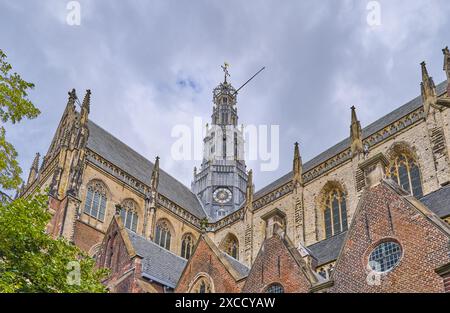 Haarlem, Holland, Blick nach oben auf die St. Bavo Kirche (Grote Kerk) in der Altstadt Stockfoto