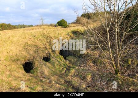 Römische Bleibergbaureste, die Mineries, Somerset, Mendip, Großbritannien Stockfoto