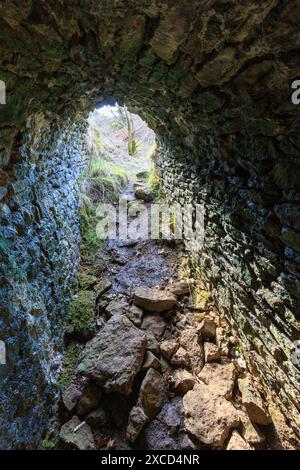 In einem Schacht an den römischen Bleibergbauresten, den Mineries, Somerset, Mendip, Großbritannien Stockfoto