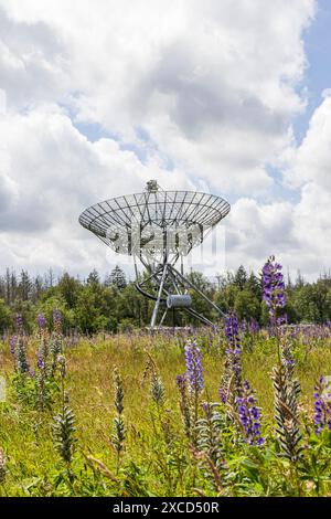 Ansicht des Westerbork Synthese Radio Telescope (WSRT) entlang des nationalen Gedenklagers in Westerbork in der Provinz Drenthe in den niederlanden. Stockfoto