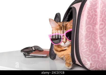 Eine lustige Katze mit Brille sitzt in einem Tierträger, isoliert auf einem einheitlichen Hintergrund. Reisen mit Haustieren. Stockfoto