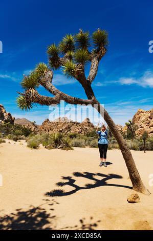 Senior weibliche Touristen fotografieren einen Joshua Tree; Joshua Tree; Hidden Valley; Joshua Tree National Park; Südkalifornien; USA Stockfoto