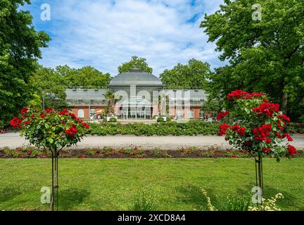 Der Palmengarten in Frankfurt am Main (Botanischer Garten). Blick auf das Gewächshaus. Hessen, Deutschland, Europa Stockfoto