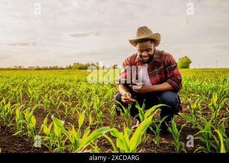 Junger Landwirt, der digitale Tablets auf seinem wachsenden Maisfeld benutzt. Stockfoto