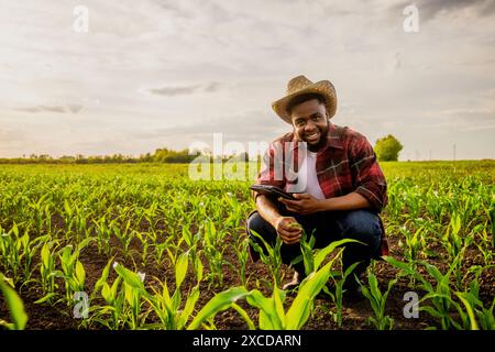 Junger Landwirt, der digitale Tablets auf seinem wachsenden Maisfeld benutzt. Stockfoto
