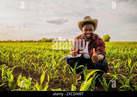 Ein junger Bauer schreibt Notizen auf seinem wachsenden Maisfeld. Stockfoto