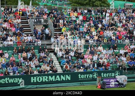 Halle Westf, Westfalen, Deutschland. Juni 2024. Impressionen beim Tennisschauen während der 31. TERRA WORTMANN OPEN, ATP500 - Herren Tennis (Bild: © Mathias Schulz/ZUMA Press Wire) NUR REDAKTIONELLE VERWENDUNG! Nicht für kommerzielle ZWECKE! Stockfoto