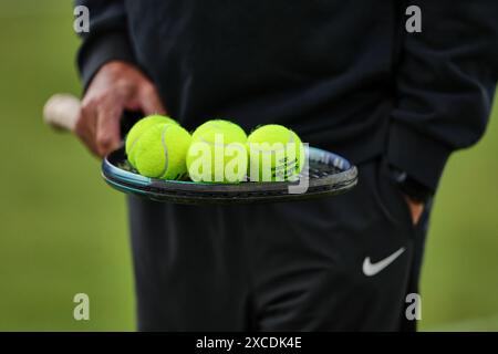 Halle Westf, Westfalen, Deutschland. Juni 2024. Impressionen beim Tennisschauen während der 31. TERRA WORTMANN OPEN, ATP500 - Herren Tennis (Bild: © Mathias Schulz/ZUMA Press Wire) NUR REDAKTIONELLE VERWENDUNG! Nicht für kommerzielle ZWECKE! Stockfoto