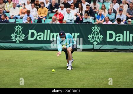 Halle Westf, Westfalen, Deutschland. Juni 2024. Ballkid sah Tennis während der 31. TERRA WORTMANN OPEN, ATP500 - Herren Tennis (Bild: © Mathias Schulz/ZUMA Press Wire) NUR REDAKTIONELLE VERWENDUNG! Nicht für kommerzielle ZWECKE! Stockfoto