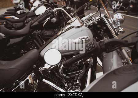 Italien, 09. Juni 2024: Motorräder der legendären Marke Harley Davidson auf der EUROPÄISCHEN H.O.G.-RALLYE der Senigallia Ancona Marche Stockfoto