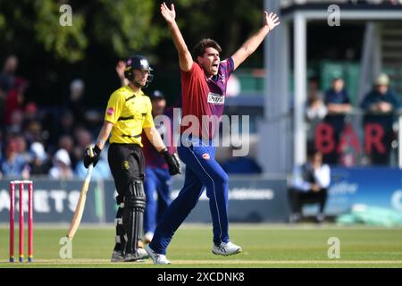 Canterbury, England. Juni 2024. Xavier Bartlett appelliert an Kent während der Vitalitätsexplosion zwischen Kent Spitfires und Gloucestershire am Spitfire Ground in St. Lawrence in Canterbury. Kyle Andrews/Alamy Live News. Stockfoto