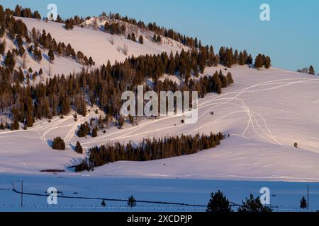 Schneemobilstrecken im Schnee im Hinterland von Idaho Stockfoto