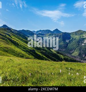 Tatra Gebirge, Polen, Blick vom Kasprowy Wierch Owinica Mount Stockfoto