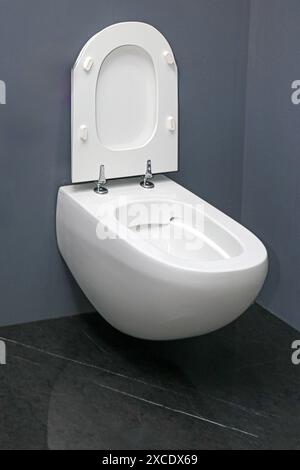 Moderne Toilettenschüssel im Innenraum des Wohnbades Stockfoto