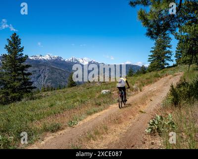 WA25445-00...WASHINGTON - Mountainbiker auf einer rauen Waldstraße in der Nähe von Cassal Hut in der Gegend von Rendezvous im Methow Valley. Stockfoto