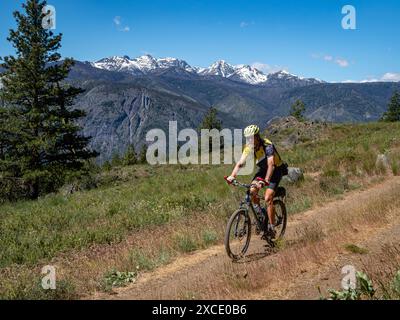 WA25446-00...WASHINGTON - Mountainbiker auf einer Forststraße in der Nähe von Cassal Hut in der Gegend von Rendezvous im Methow Valley. Stockfoto