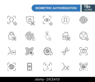 Satz biometrischer Symbole für dünne Linien. Fingerabdruck, Gesichts-ID, Spracherkennung, DNA, Augenscan. Zeilensymbole des biometrischen Identitätsnachweises. Vektor Stock Vektor