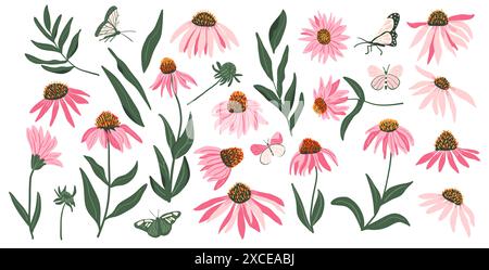 Coneflower lila Set isoliert auf weißem Hintergrund. Echinacea purpurea Wildblumensammlung. Handgezeichnete Vektorgrafik. Stock Vektor