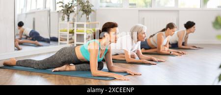 Frau dehnt sich in Halbtaubenstellung Ardha Kapotasana beim Yoga-Training Stockfoto