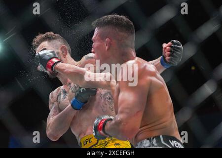 UFC-Kämpfer tauschen Schläge aus Stockfoto