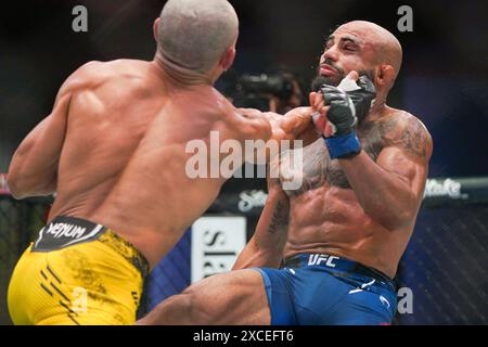 UFC-Kämpfer tauschen Schläge aus Stockfoto