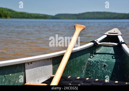 Grünes Kanu mit Paddel bereit für Abenteuer auf einem Süßwassersee Stockfoto