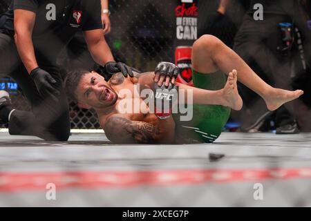 UFC-Kämpfer Alex Perez Stockfoto