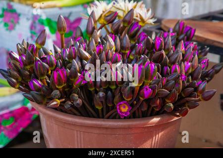 Geschenke für buddha zum Geburtstag. In Körben gesammelte Blumen für die Gabe an die Buddha-Statue. Alles Gute zum Buddhas-Tag Stockfoto