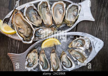 Essen von frischen lebenden Austern mit Zitrone und Brot im Farmcafé im Austerndorf Arcachon bassin, Gujan-Mestras Hafen, Bordeaux, Fran Stockfoto