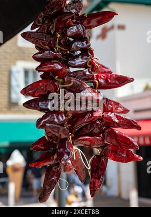 Piment d'Espelette, getrocknete rote heiße Chilischoten aus dem Dorf Espelette im Baskenland in den Bergen, Frankreich, Gewürz, französische Gewürze Stockfoto