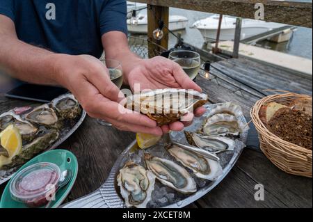 Essen von frischen lebenden Austern mit Zitrone und Brot im Farmcafé im Austerndorf Arcachon bassin, Gujan-Mestras Hafen, Bordeaux, Fran Stockfoto