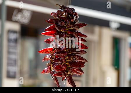 Piment d'Espelette, getrocknete rote heiße Chilischoten aus dem Dorf Espelette im Baskenland in den Bergen, Frankreich, Gewürz, französische Gewürze Stockfoto