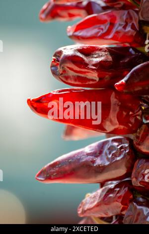 Piment d'Espelette, getrocknete rote heiße Chilischoten aus dem Dorf Espelette im Baskenland in den Bergen, Frankreich, Gewürz, französische Gewürze Stockfoto