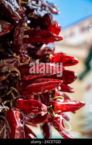 Piment d'Espelette, getrocknete rote heiße Chilischoten aus dem Dorf Espelette im Baskenland in den Bergen, Frankreich, Gewürz, französische Gewürze Stockfoto