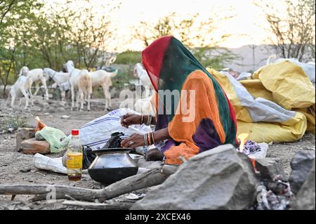 Ajmer, Indien. Juni 2024. Bakara Mandi Ajmer ein Viehmarkt während des Eid-Al-Adha Festivals. Tiere, die während des islamischen Festivals Eid ul Adha zum Opfer fallen, können auf einem Markt erworben werden. EID ul Adha, auch „Festival des Opfers“ oder Bakr Eid genannt, ist im islamischen Kalender von großer Bedeutung und wird weltweit gefeiert. (Foto: Shaukat Ahmed/Pacific Press) Credit: Pacific Press Media Production Corp./Alamy Live News Stockfoto