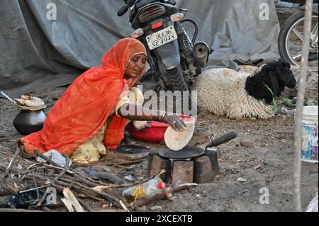 Ajmer, Rajasthan, Indien. Juni 2024. Bakara Mandi Ajmer ein Viehmarkt während des Eid-Al-Adha Festivals. Tiere, die während des islamischen Festivals Eid ul Adha zum Opfer fallen, können auf einem Markt erworben werden. EID ul Adha, auch bekannt als „Festival des Opfers“ oder Bakr Eid, hat große Bedeutung im islamischen Kalender und wird weltweit gefeiert. (Kreditbild: © Shaukat Ahmed/Pacific Press via ZUMA Press Wire) NUR REDAKTIONELLE VERWENDUNG! Nicht für kommerzielle ZWECKE! Stockfoto