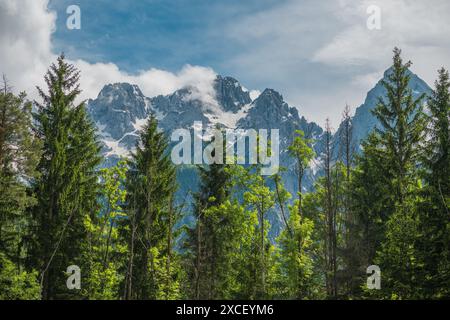 Ein malerischer Blick auf die majestätischen Berge Sloweniens mit einem schneebedeckten Gipfel, der teilweise von schneebedeckten Wolken verdeckt ist. Stockfoto