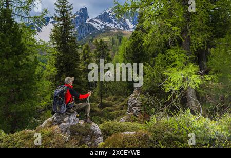 Ein Wanderer hält auf einem Bergpfad an und genießt den atemberaubenden Blick auf die schneebedeckten Gipfel in der Ferne. Üppiges Grün umgibt sie und schafft einen Ser Stockfoto