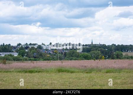 Weide mit hohem Gras in Aachen vor dem Hintergrund des Stadtteils Brand am 12. Juni 2024. DEUTSCHLAND - AACHEN - WEIDE Stockfoto