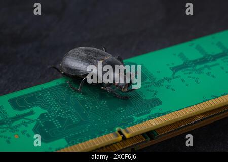 Fehler auf PC-Speicherplatine. Computerfehler Konzept. Auf schwarzem Hintergrund. Stockfoto