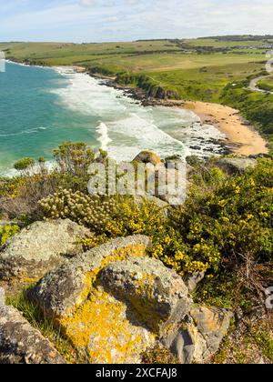 Blick auf die Küste und den Heysen Trail in Richtung Waitpinga vom Bluff oder Rosetta Head in Victor Harbor auf der Fleurieu Halbinsel, South Aust Stockfoto