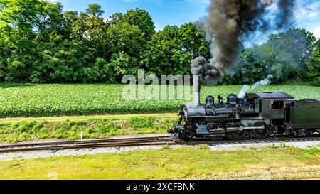 Eine Black Steam Lokomotive mit der Nummer 89, Puffing Thick Smoke, fährt entlang der Eisenbahngleise durch grüne Felder mit Einem dichten Wald im Hintergrund unter Einem klaren blauen Himmel. Stockfoto