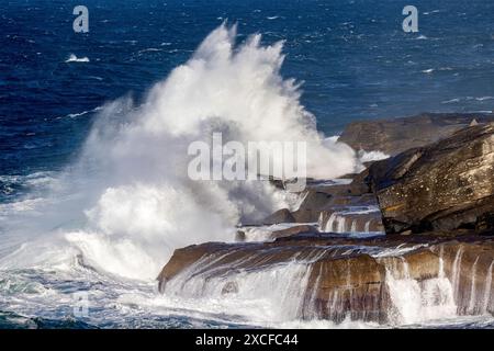 Große Wellen brechen auf Küstenfelsen, Sydney, Australien Stockfoto