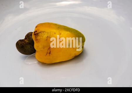 Ganze Cashew-Frucht Stockfoto