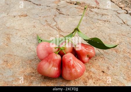 Titel: Ein Haufen Bell Fruit Stockfoto